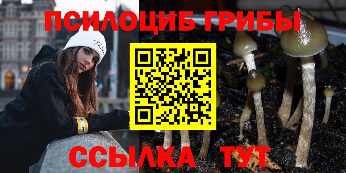 Галлюциногенные грибы мухоморы Котлас