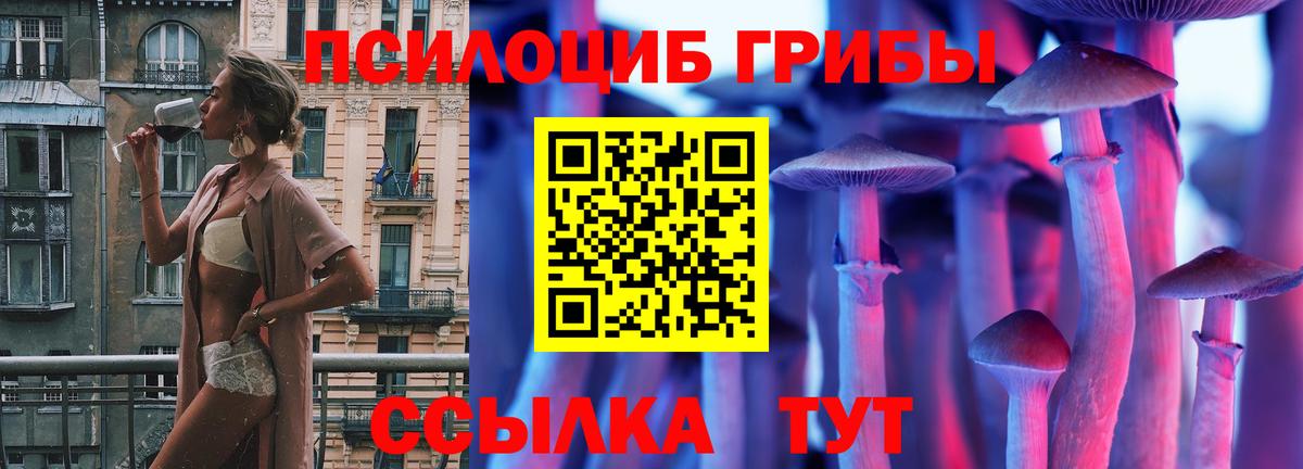 Котлас  Псилоцибиновые грибы Magic Shrooms  Вход с VPN 